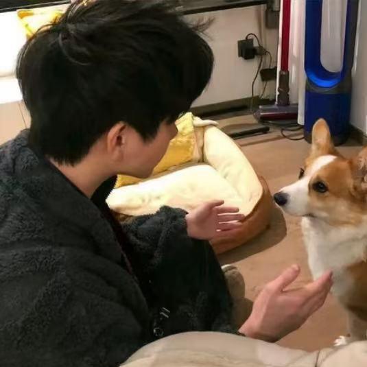 遇事不决、可问春风