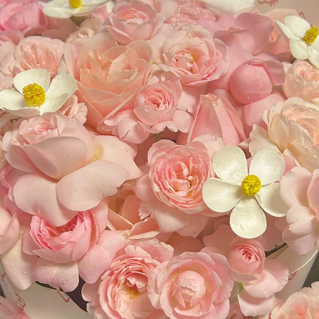 吃饱饱手作潮玩