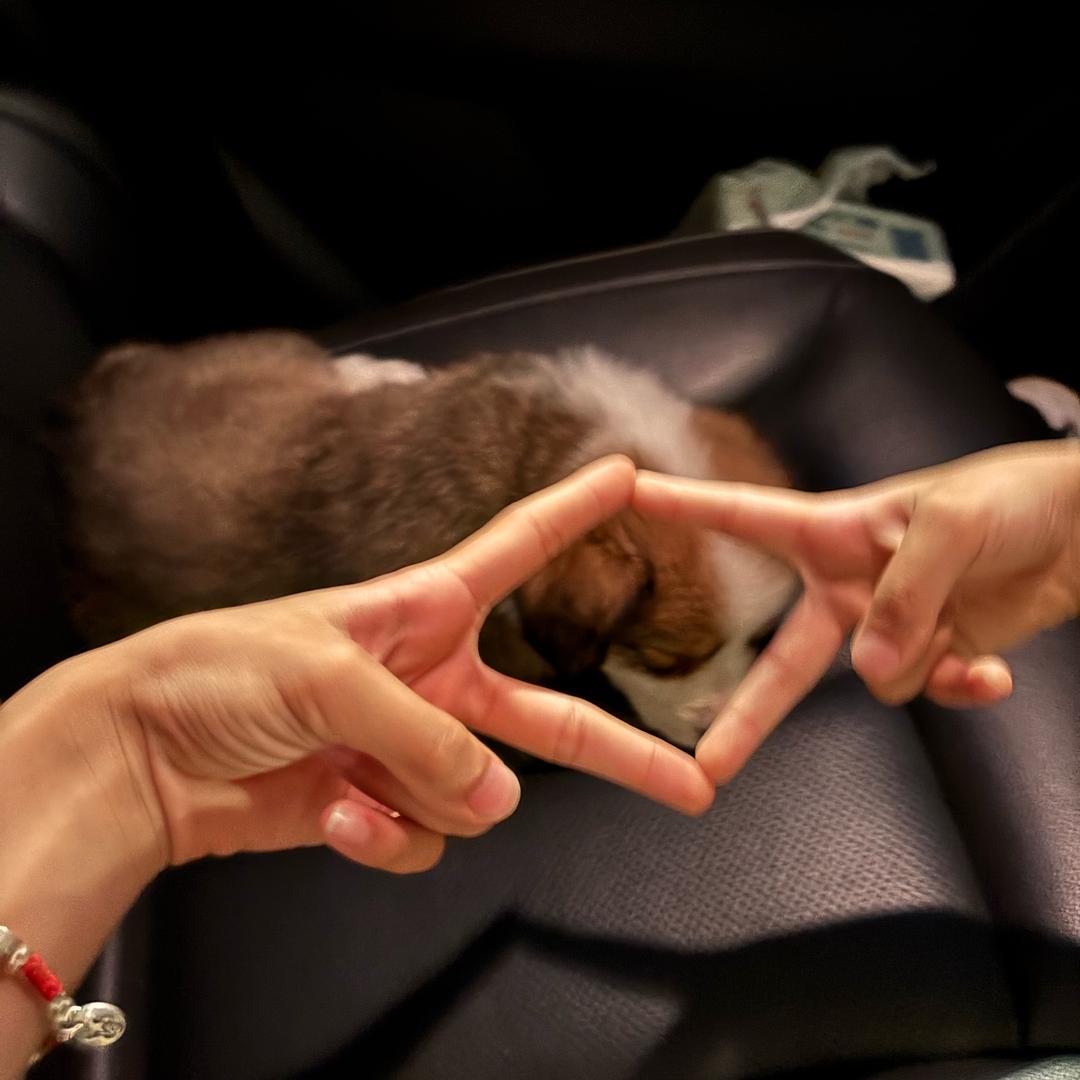 花生米移动手艺姑娘