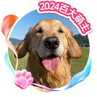 旺财和nico的两脚兽