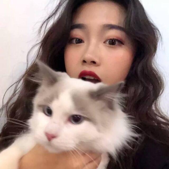 猫小姐