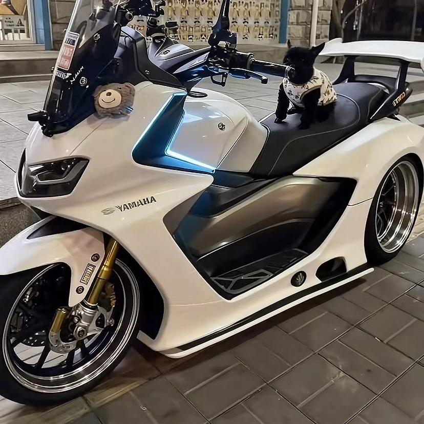 点¥哥¥的人👍