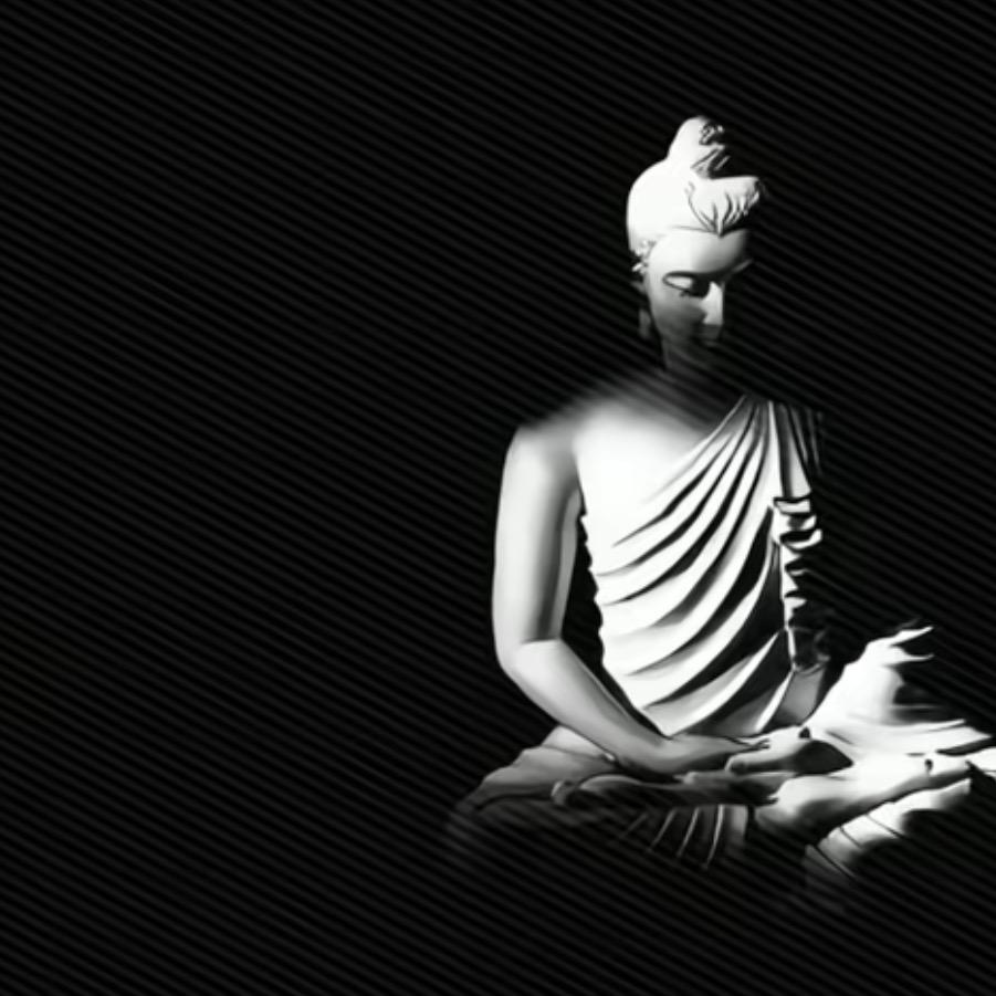 落花亦有人意