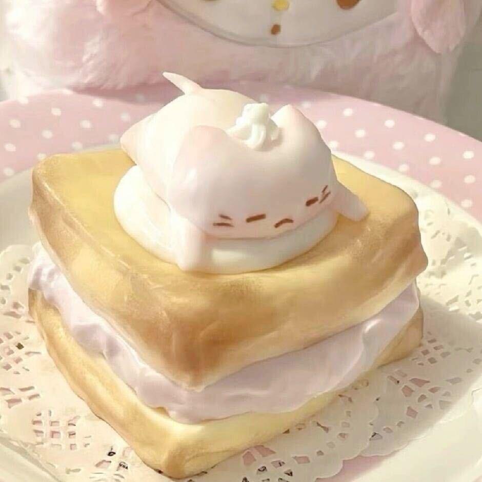小猫布丁🐱