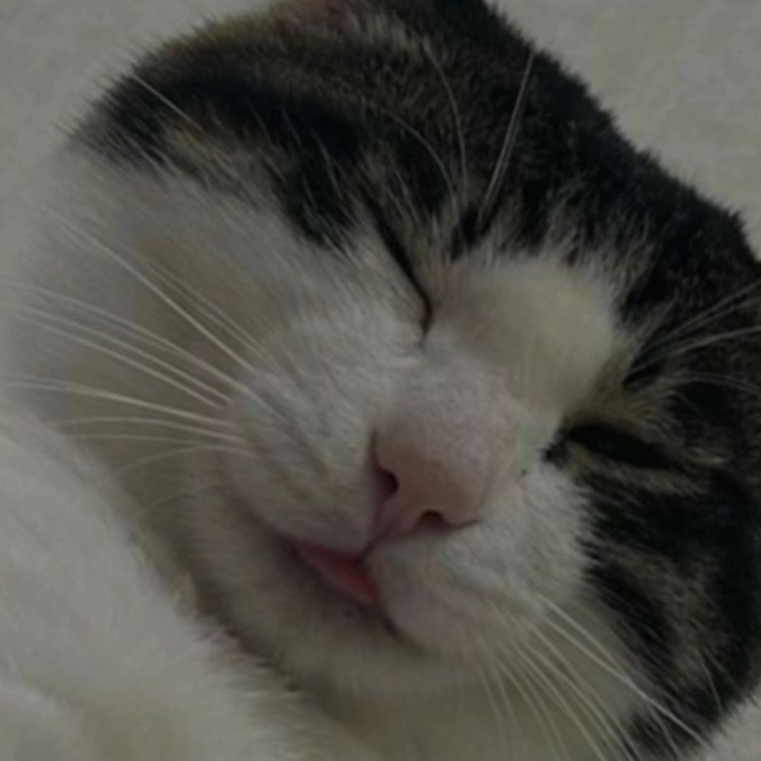 266