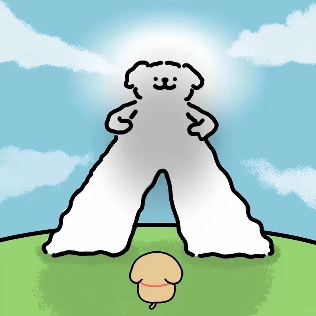 🌟