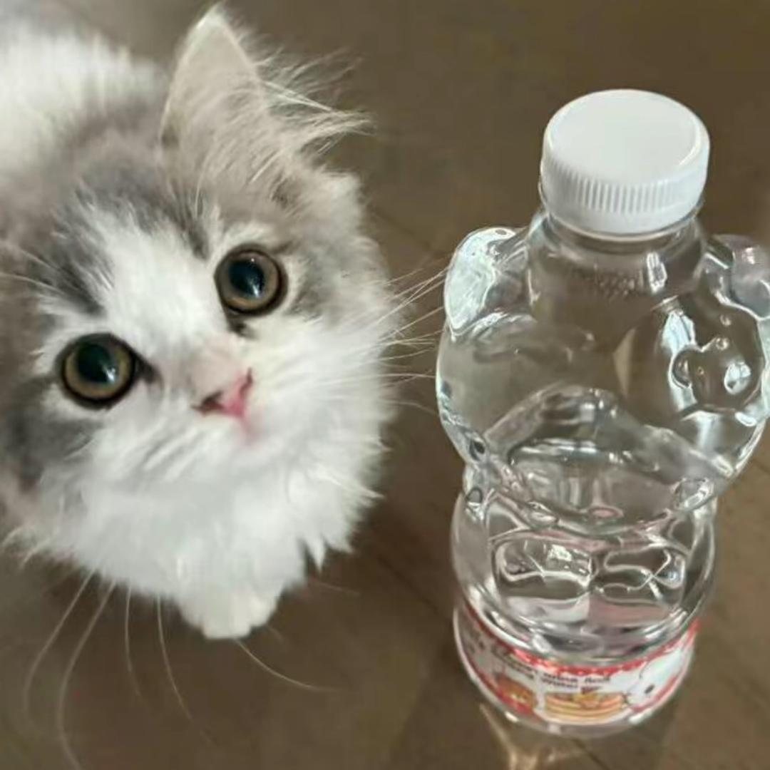 如果我不是屌丝