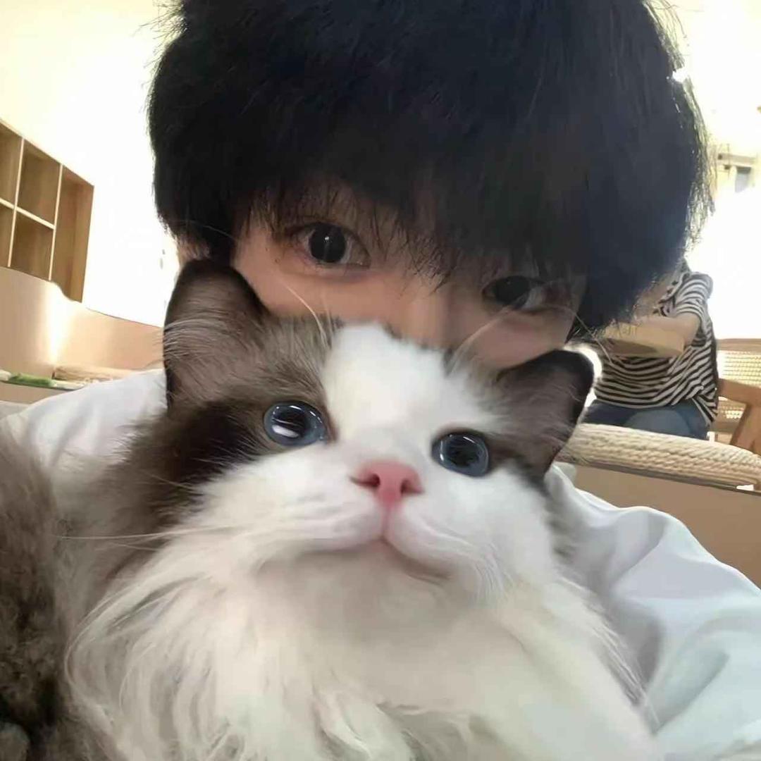 折宇腥
