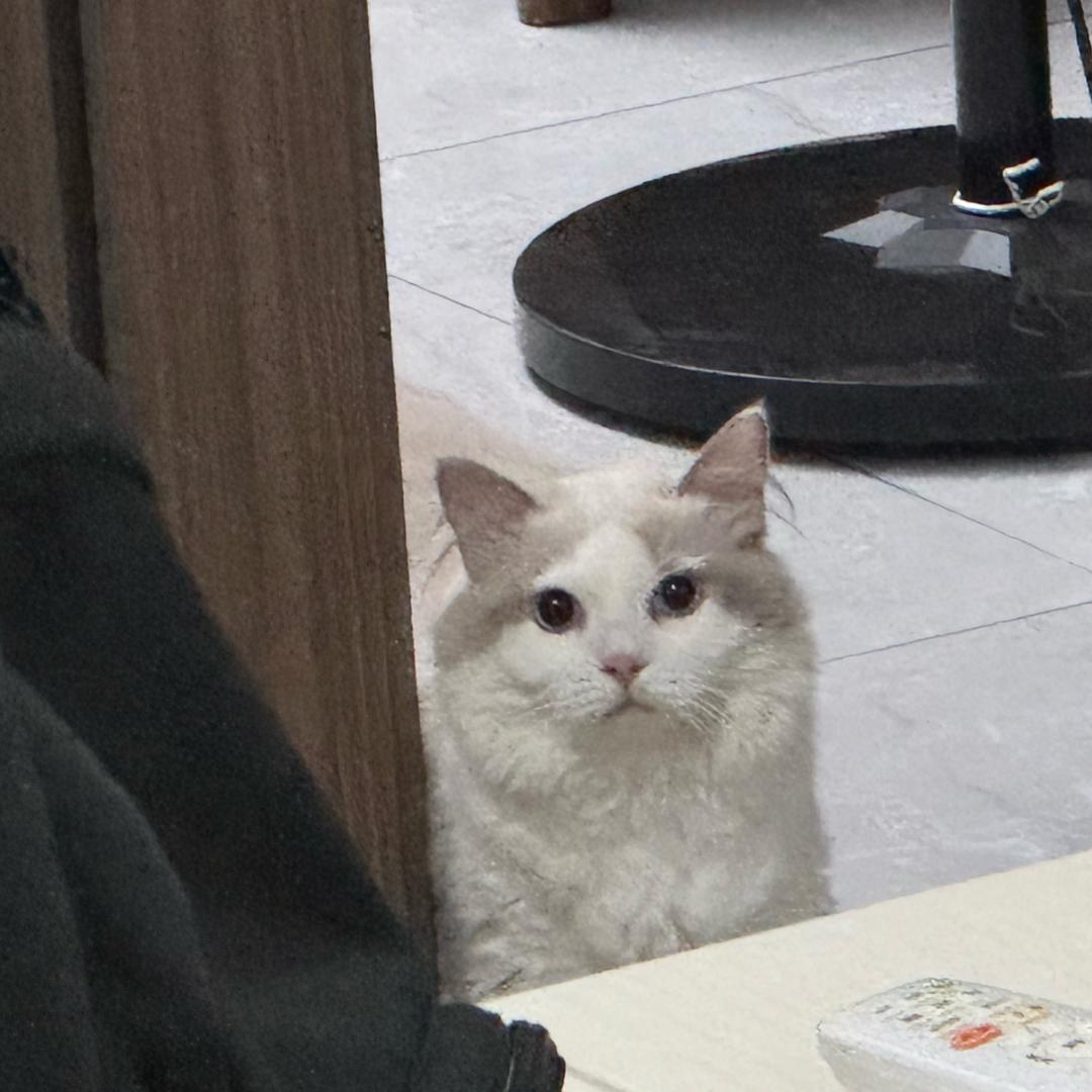 超。