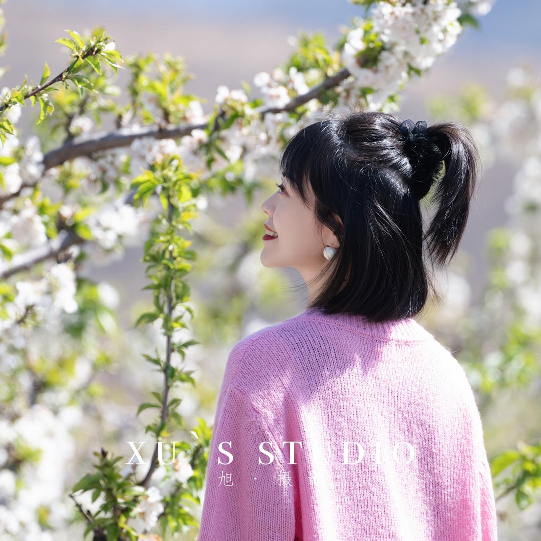 汉子丽（跳舞版）