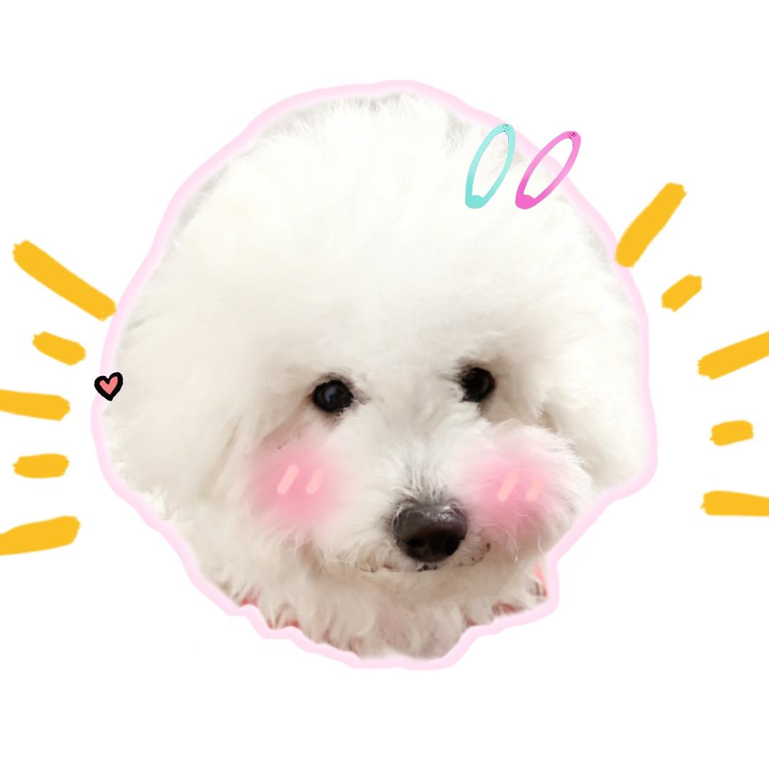 我只是一个小号