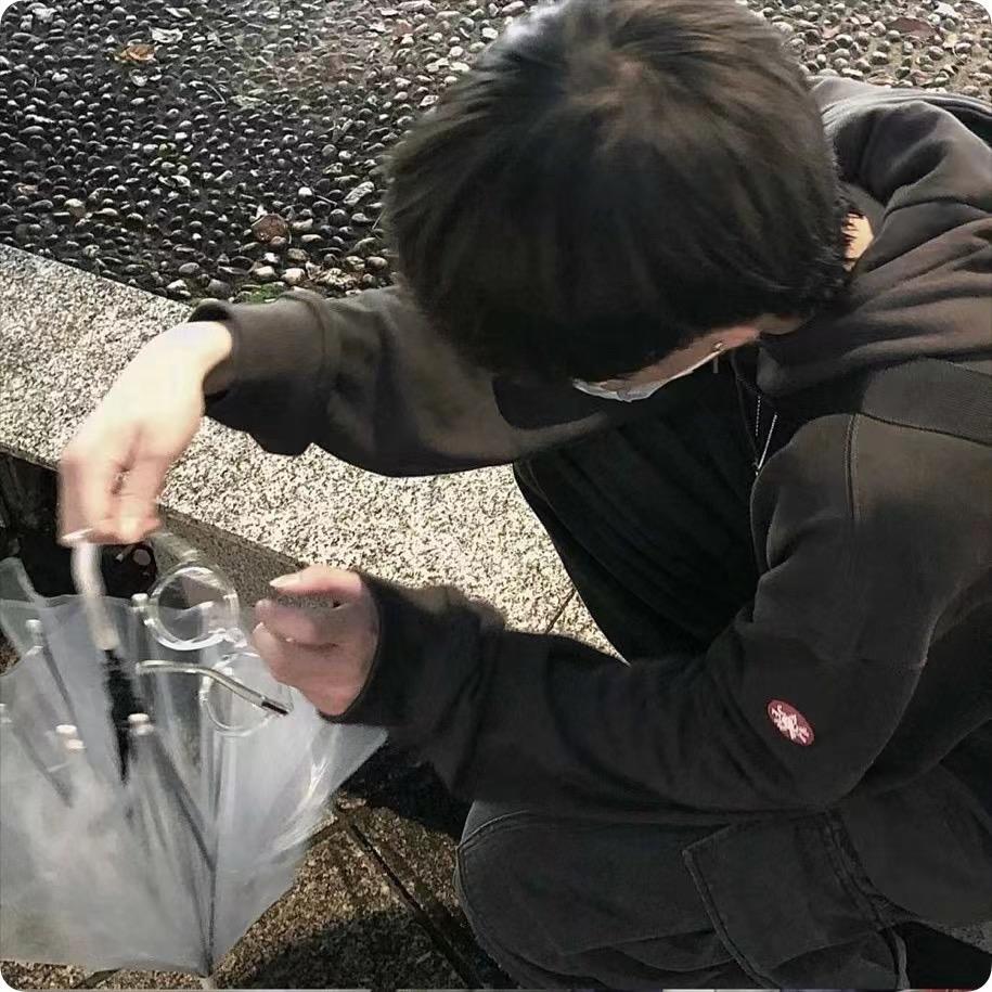 哲崽
