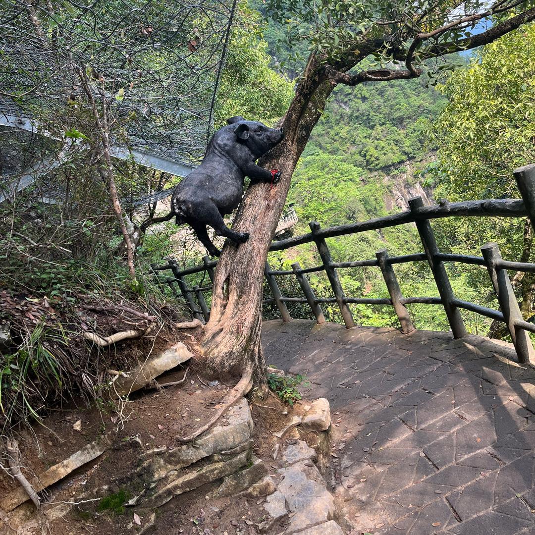 别踹瘸子那条好腿
