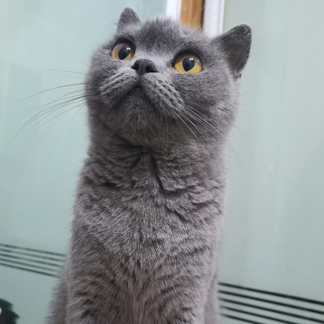 爱记仇煤气罐🍥