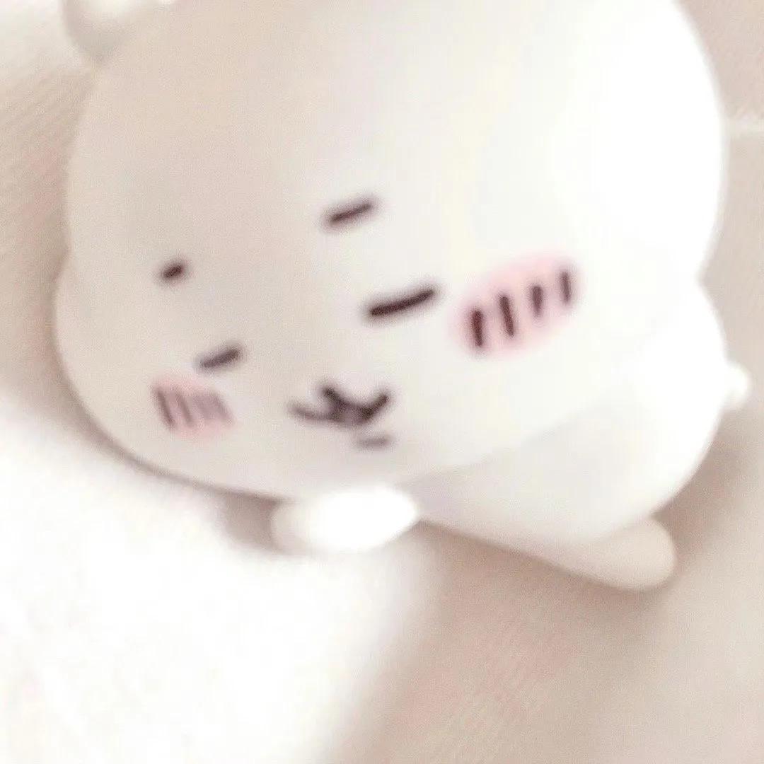 橙橙酱