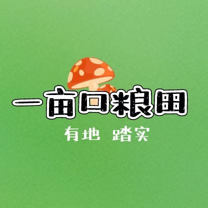 一亩口粮田