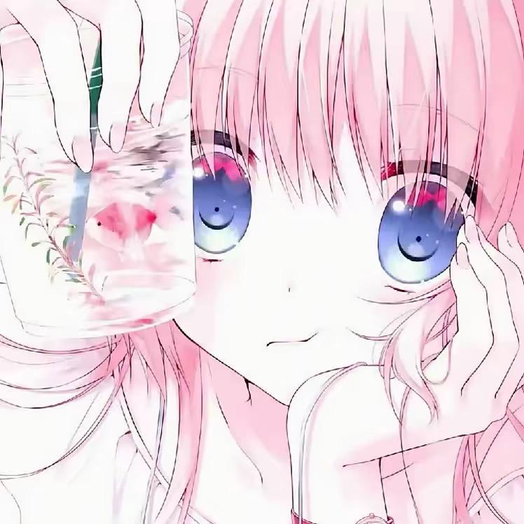 eve【定制铺子^收代理】