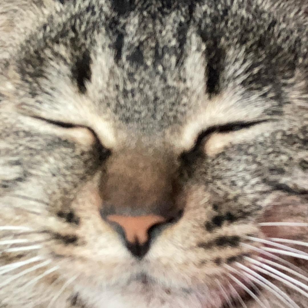 我f了