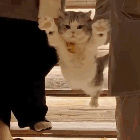 YH山外有山（大自然）