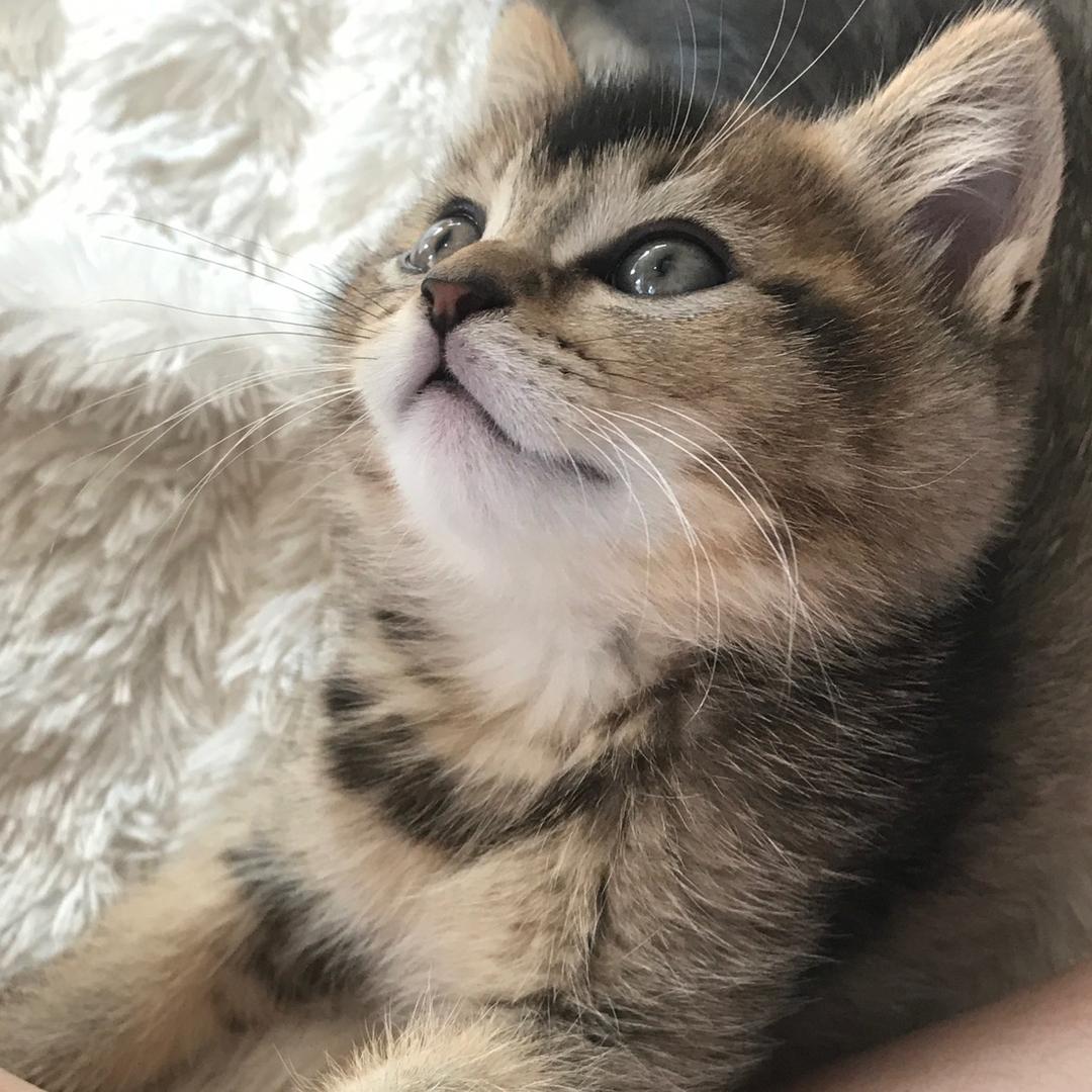Wink.