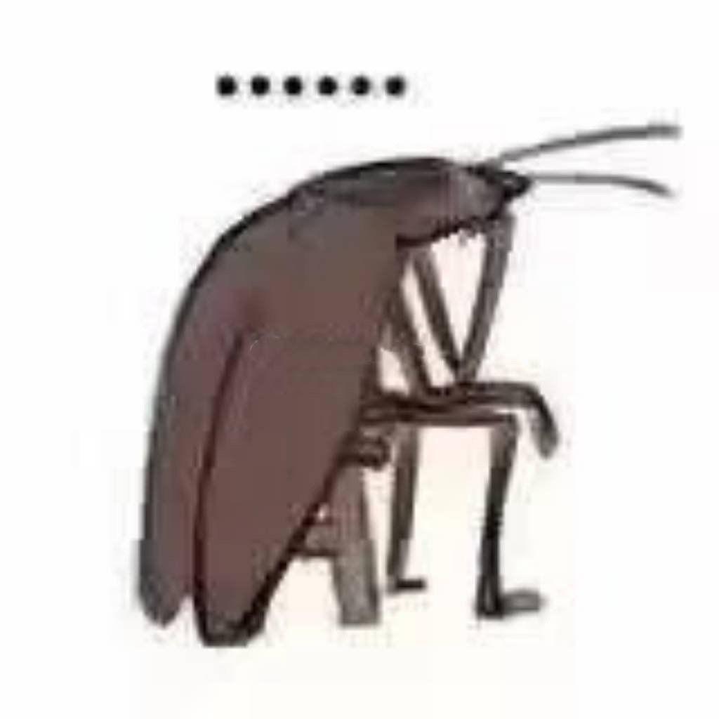 有点isss