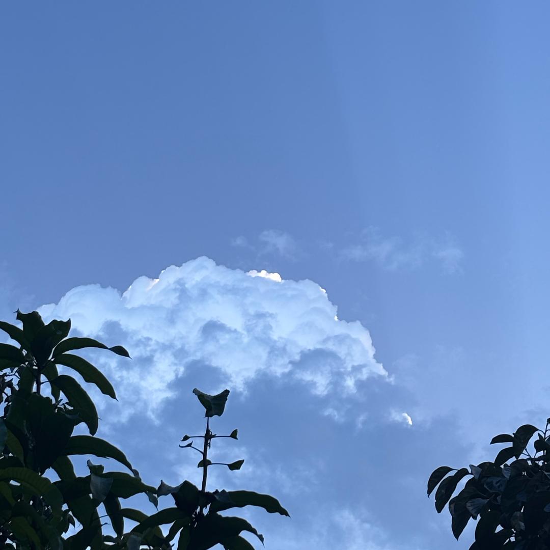 🌧鱼