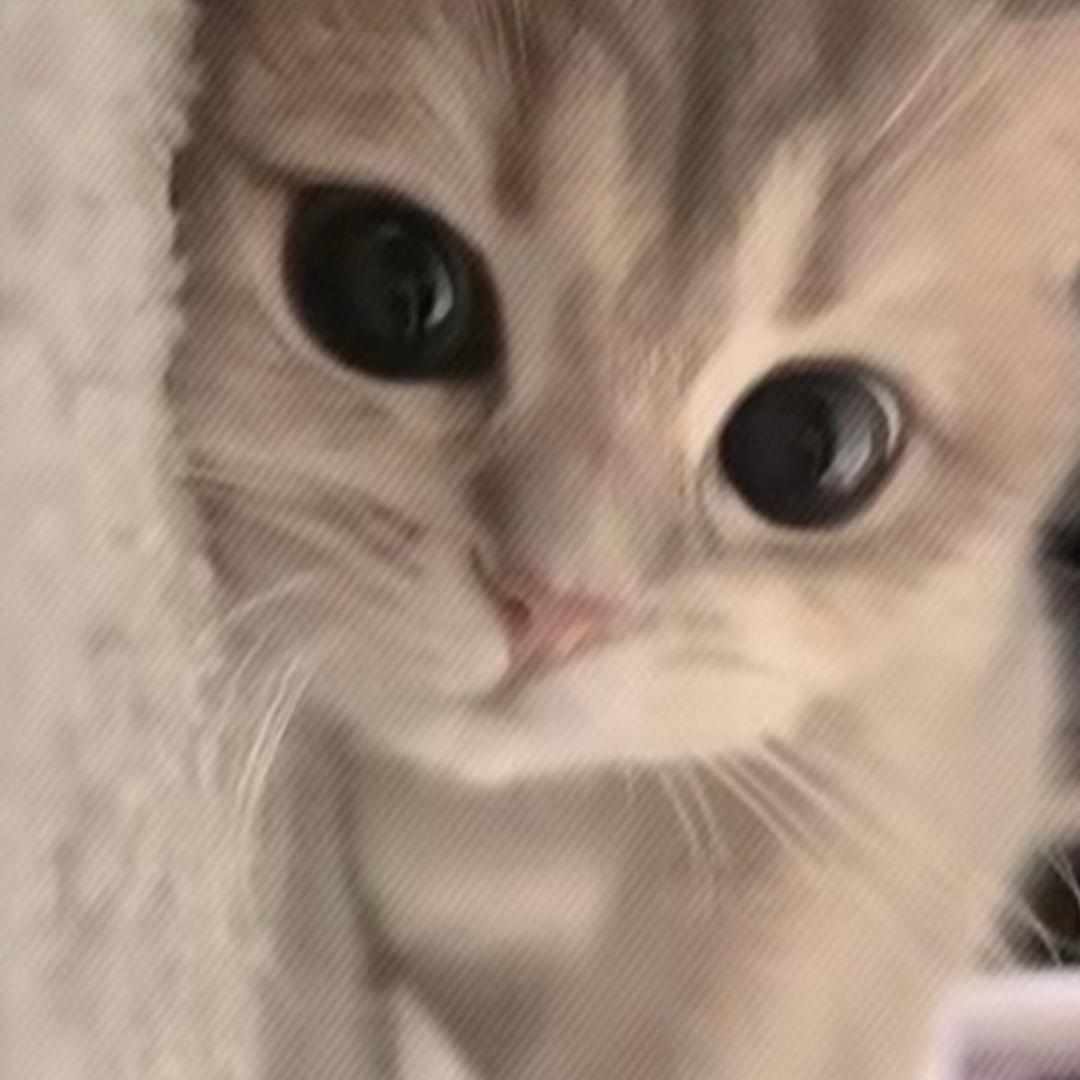 主角