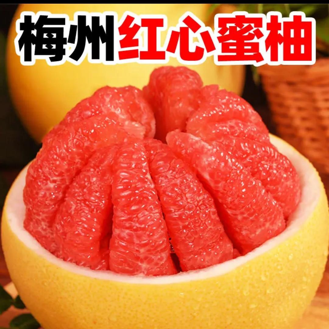 红心蜜柚果园
