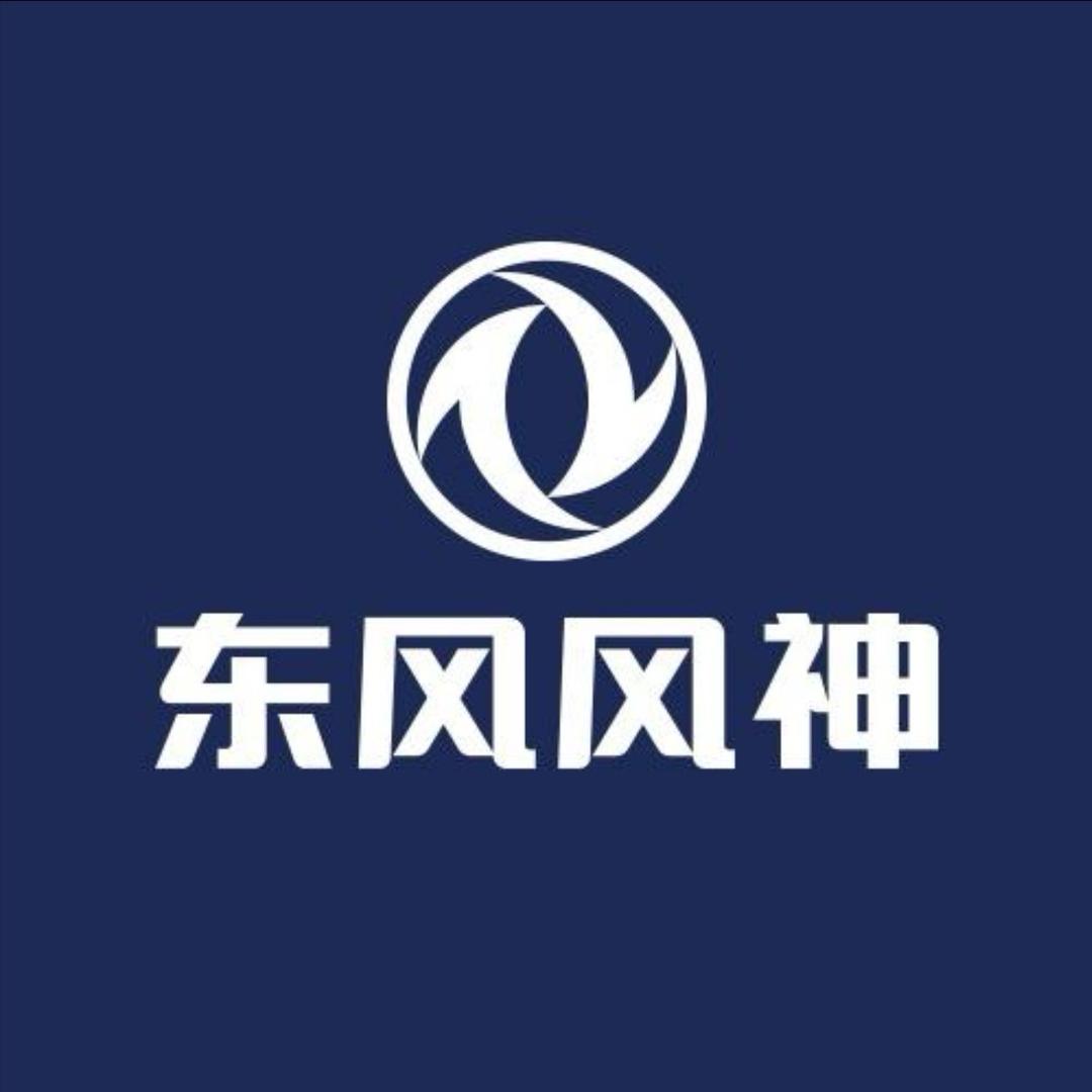 阜阳中胜_东风风神