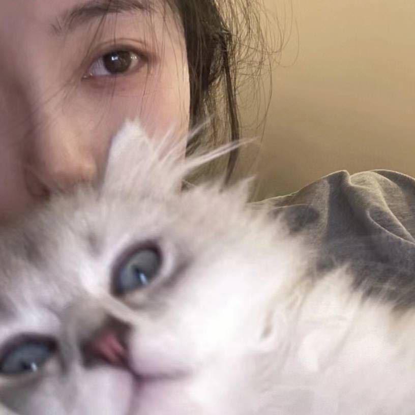 上九天揽yue.🌙