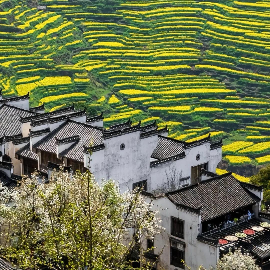 甜妹子花园