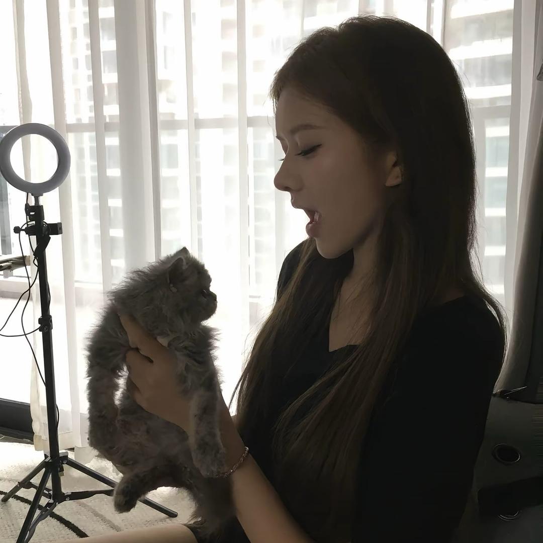 ㅤㅤㅤㅤㅤㅤ       ㅤㅤㅤ