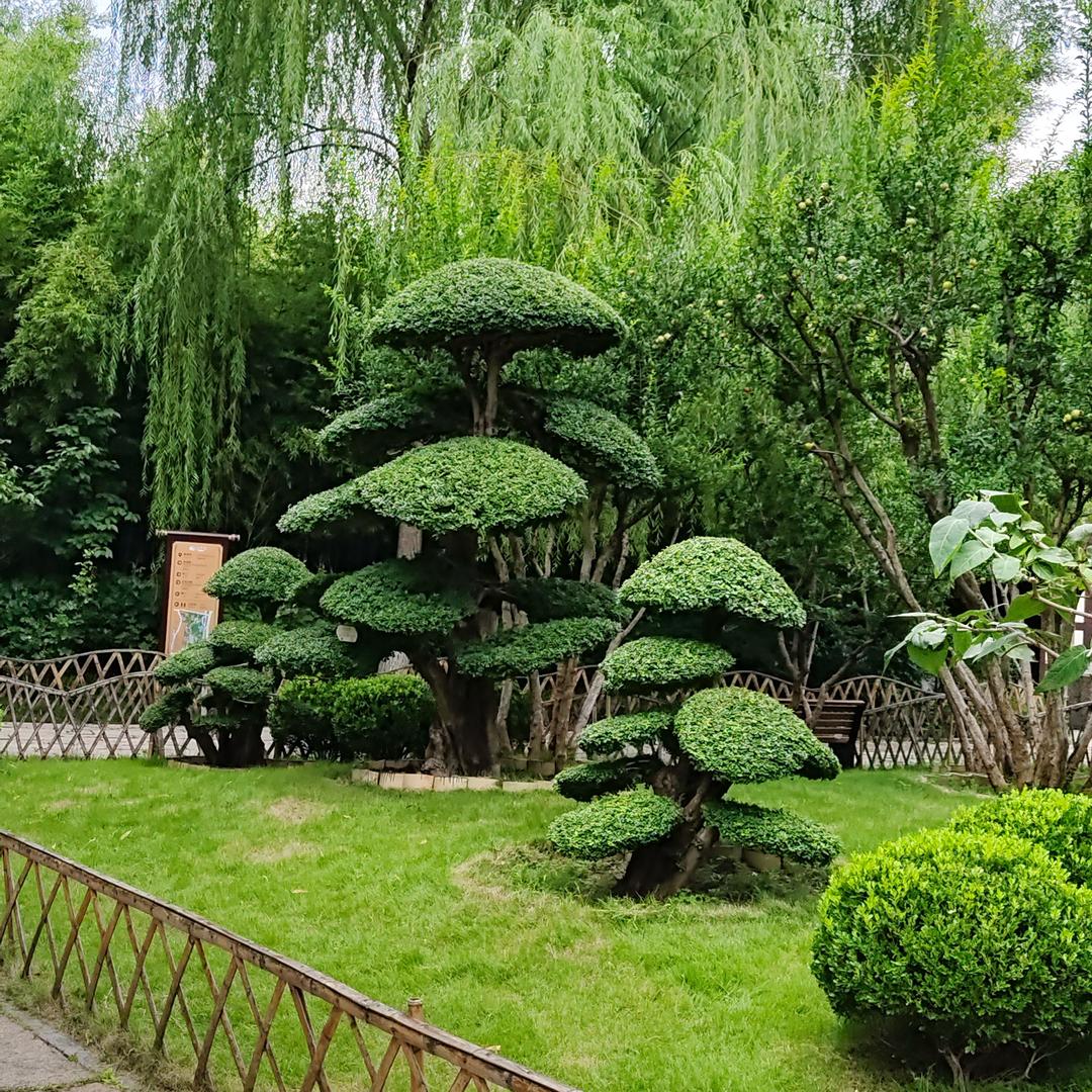 把幸福写满