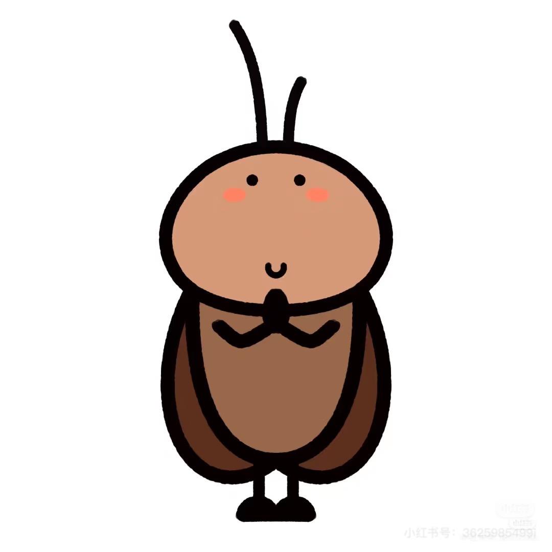 小果蝇