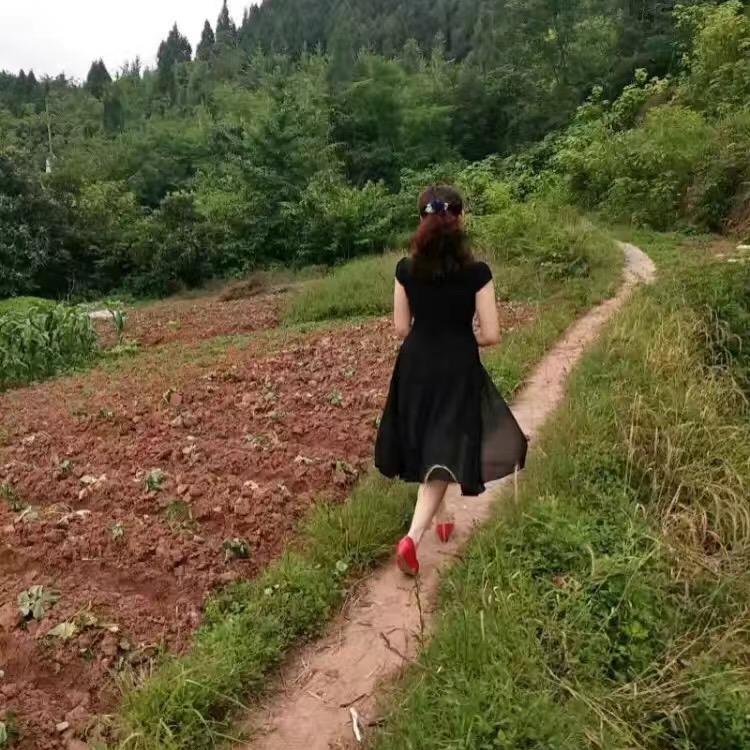 兔兔