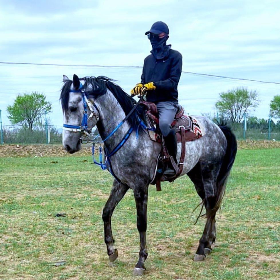 刁阿森🐎📷