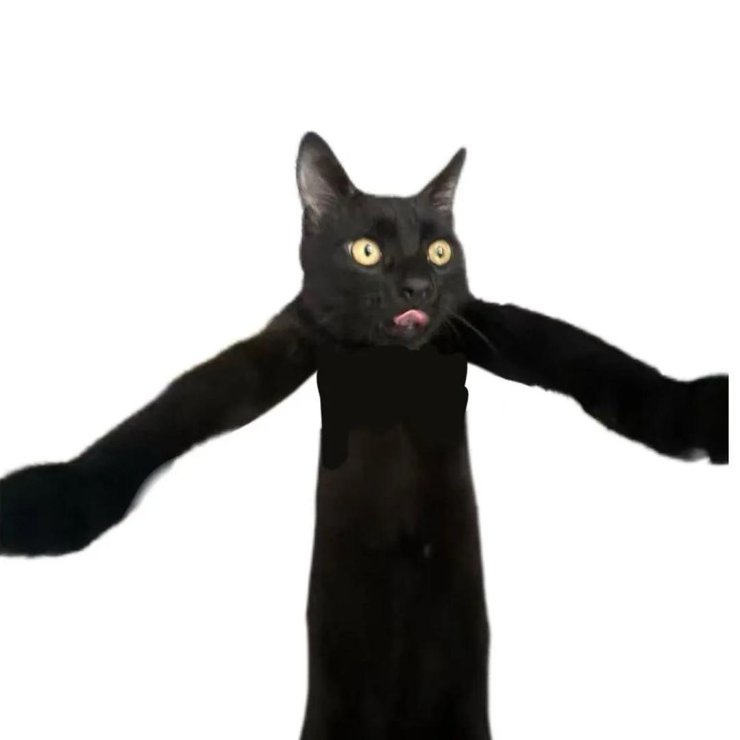 我这一生如绿豆冰🧊