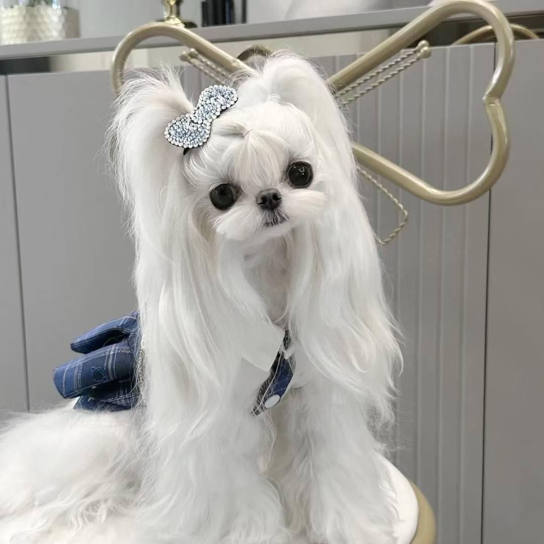 宠美·托尼L