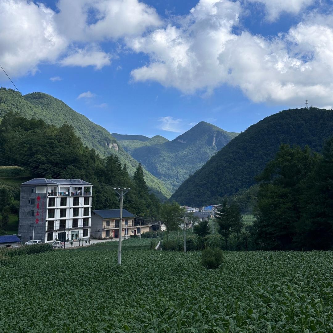 静夏山舍王大鹏（接受避暑房预定中）