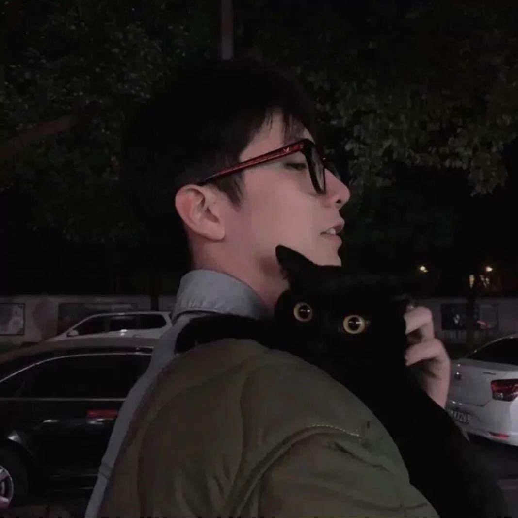 顾北清歌寒