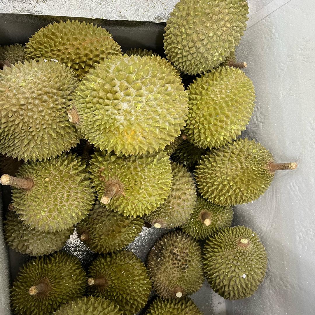 猫山王榴莲批发