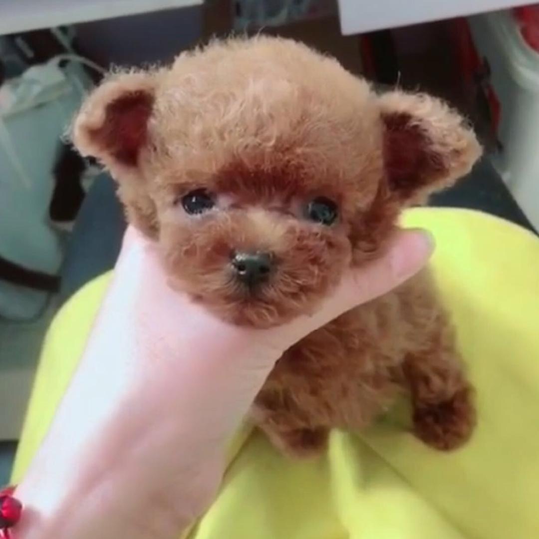 🌈哎生活哎运动