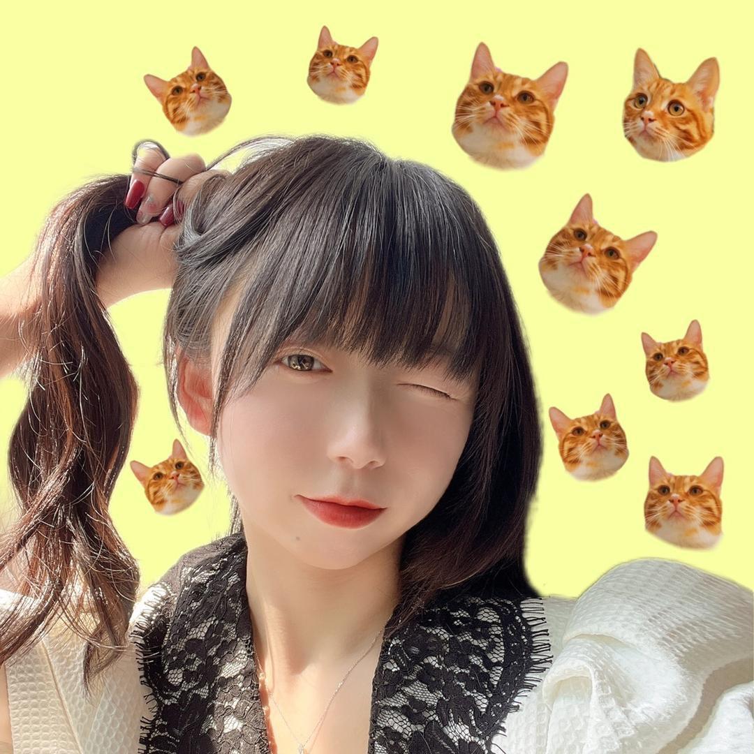 小猫🐈🍽️
