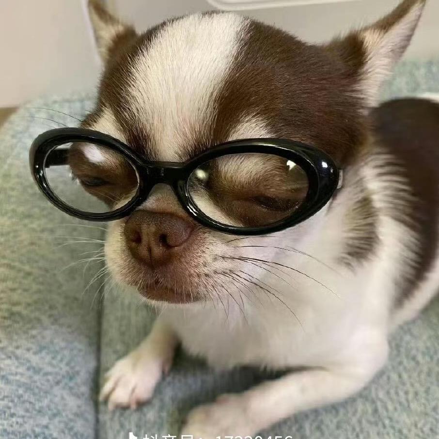 罗子君前夫凌玲老公平儿亲爸佳清后爸陈俊生