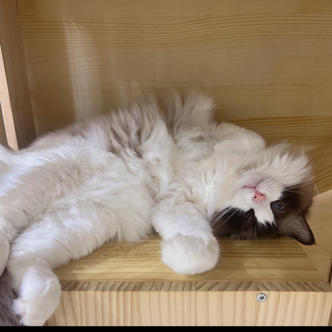 ^з^