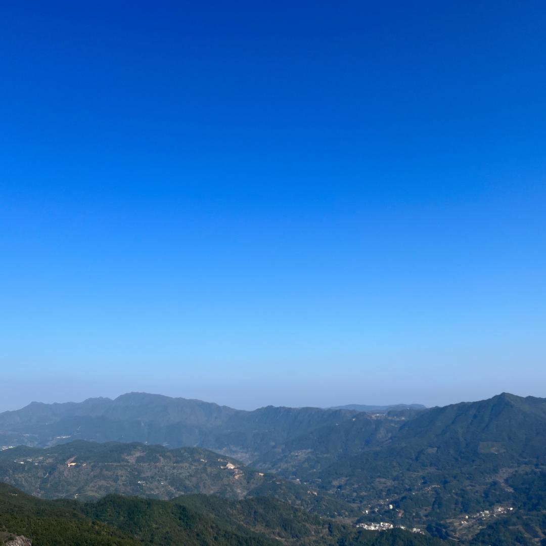 小雅