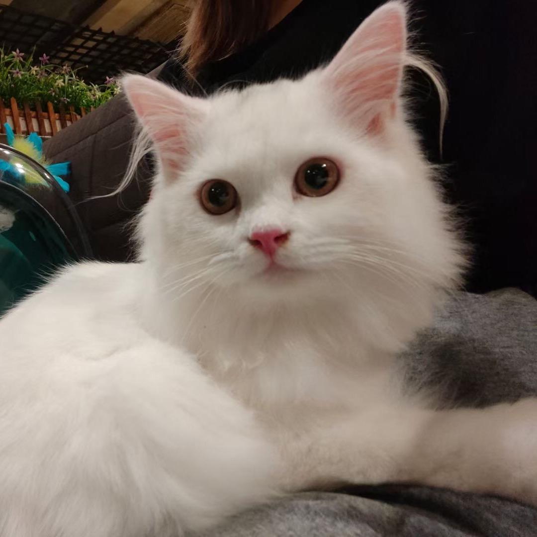 🎣掰断当腰带都不给你