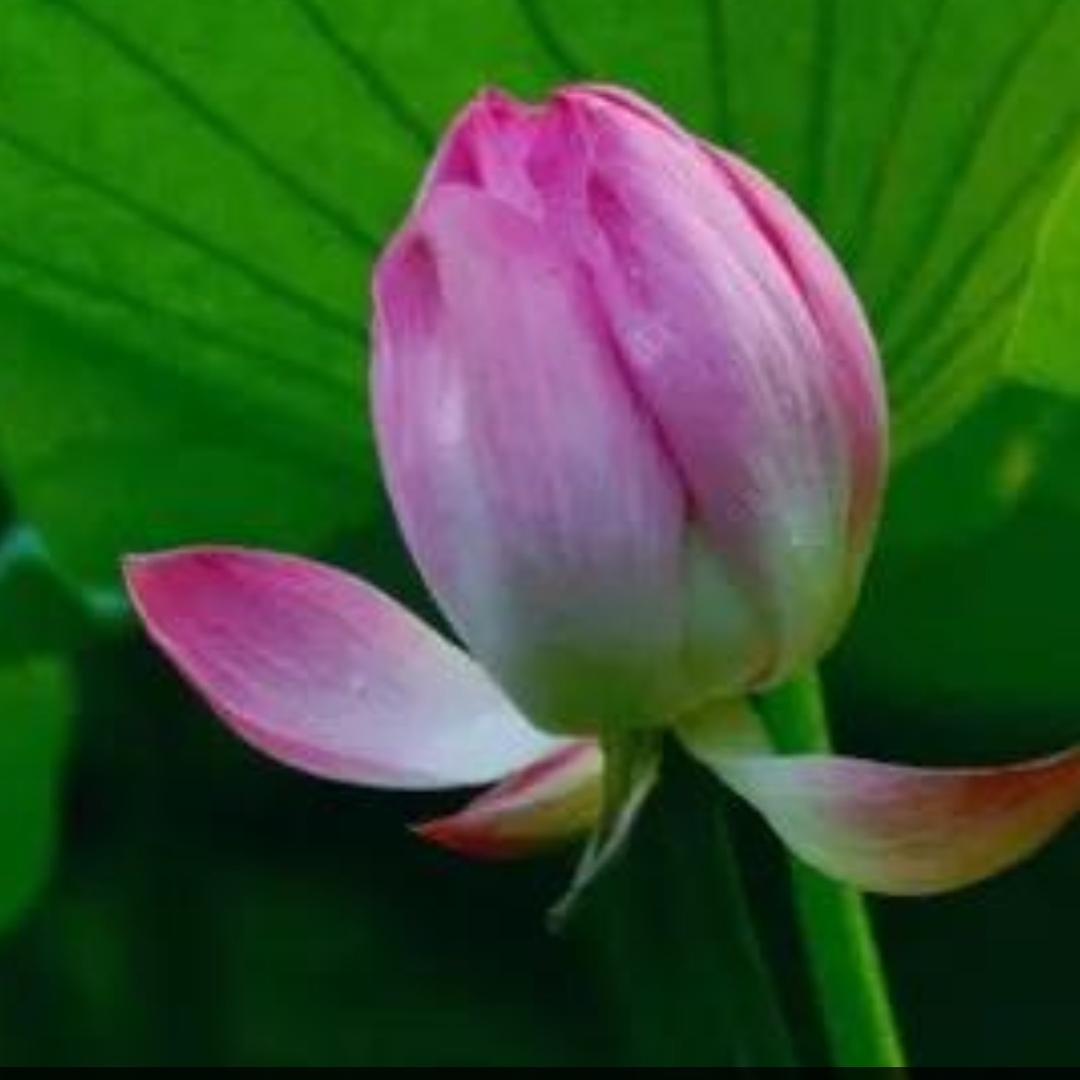 七彩阳光