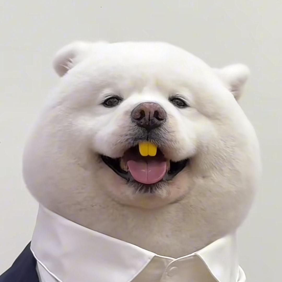 老子爱你