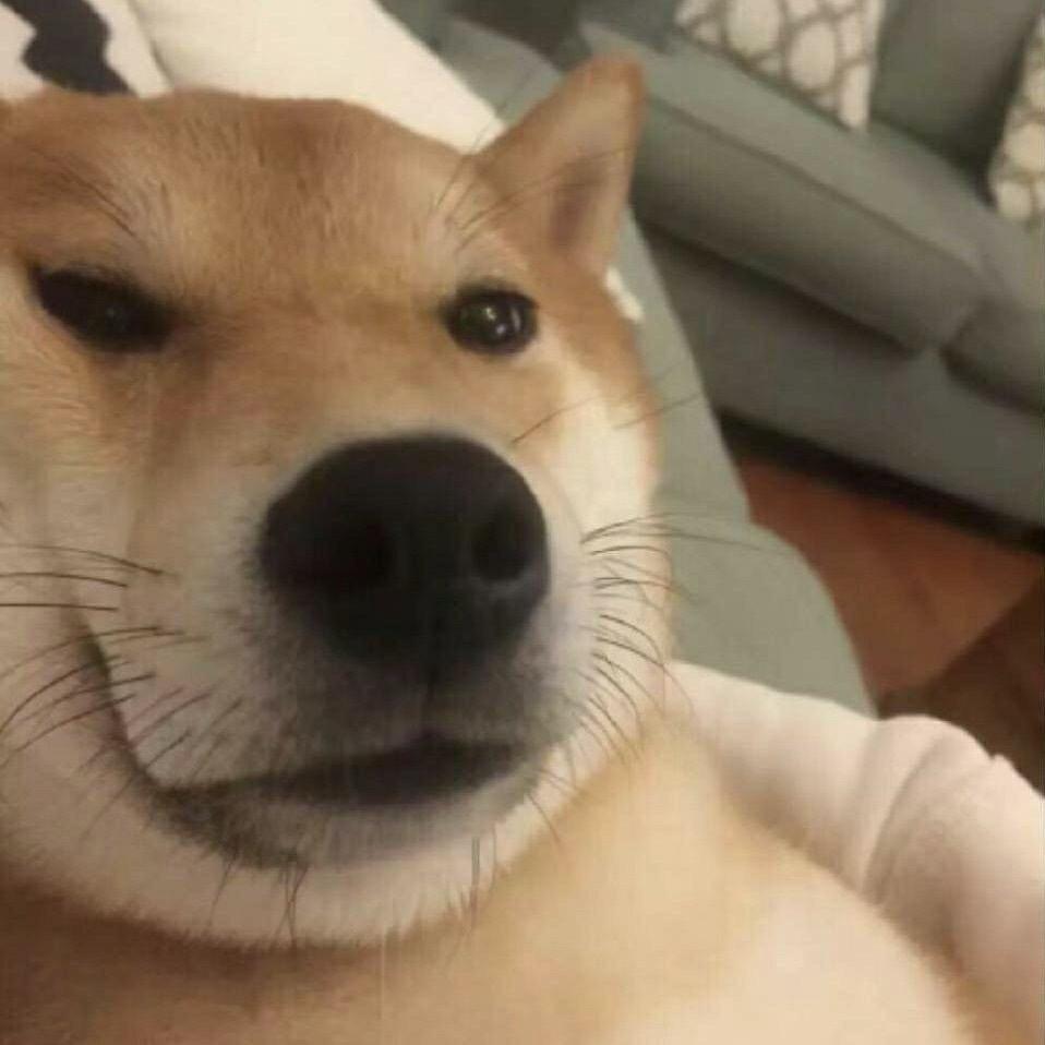 万物通网络科技中心